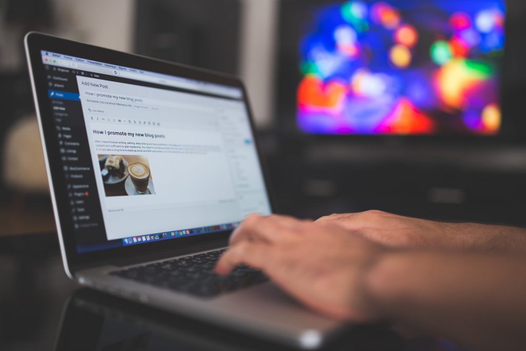 WordPress Web Sitesi