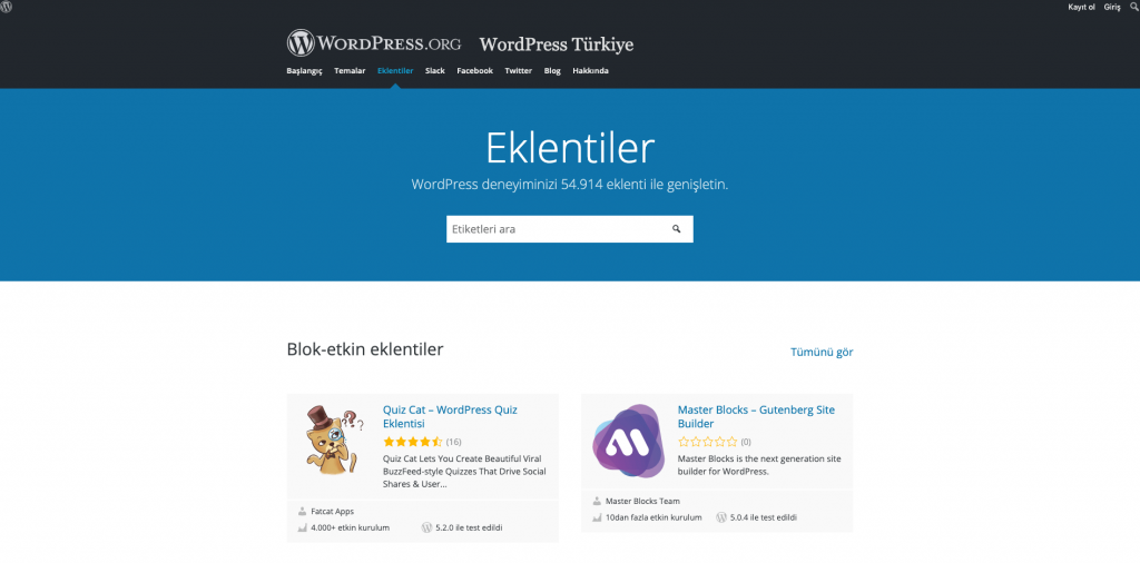 Wordpress Eklentileri Nedir? Ne İşe Yarar?