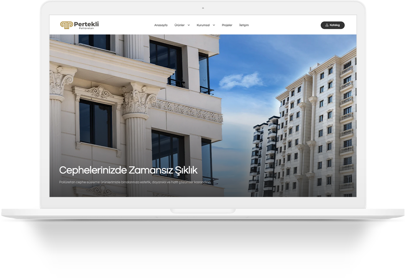 pertekli wordpress website tasarimi